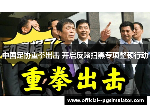 中国足协重拳出击 开启反赌扫黑专项整顿行动